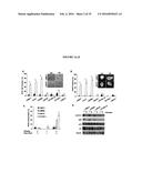 COMPANION DIAGNOSTIC FOR CDK4 INHIBITORS diagram and image