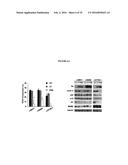 COMPANION DIAGNOSTIC FOR CDK4 INHIBITORS diagram and image