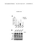 COMPANION DIAGNOSTIC FOR CDK4 INHIBITORS diagram and image