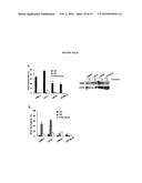 COMPANION DIAGNOSTIC FOR CDK4 INHIBITORS diagram and image