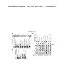 COMPANION DIAGNOSTIC FOR CDK4 INHIBITORS diagram and image