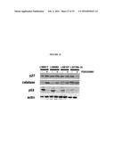 COMPANION DIAGNOSTIC FOR CDK4 INHIBITORS diagram and image