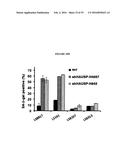 COMPANION DIAGNOSTIC FOR CDK4 INHIBITORS diagram and image