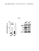 COMPANION DIAGNOSTIC FOR CDK4 INHIBITORS diagram and image