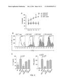 METHODS FOR THE TREATMENT OF AUTOIMMUNE DISEASES diagram and image