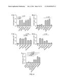 METHODS FOR THE TREATMENT OF AUTOIMMUNE DISEASES diagram and image