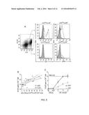 METHODS FOR THE TREATMENT OF AUTOIMMUNE DISEASES diagram and image