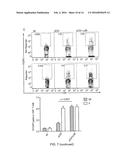 METHODS FOR THE TREATMENT OF AUTOIMMUNE DISEASES diagram and image