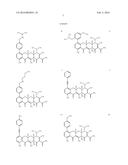 SUBSTITUTED TETRACYCLINE COMPOUNDS FOR TREATMENT OF BACILLUS ANTHRACIS     INFECTIONS diagram and image