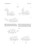 SUBSTITUTED TETRACYCLINE COMPOUNDS FOR TREATMENT OF BACILLUS ANTHRACIS     INFECTIONS diagram and image