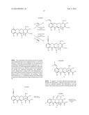 SUBSTITUTED TETRACYCLINE COMPOUNDS FOR TREATMENT OF BACILLUS ANTHRACIS     INFECTIONS diagram and image