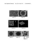 THERAPEUTIC VIRAL MICROPARTICLES FOR PROMOTING STENT BIOFUNCTIONALITY AND     WOUND HEALING IN VERTEBRATE INDIVIDUALS diagram and image