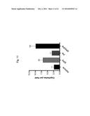 ERYTHROPOIETIN AND FIBRONECTIN COMPOSITIONS FOR THERAPEUTIC AND COSMETIC     APPLICATIONS diagram and image