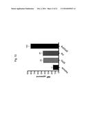 ERYTHROPOIETIN AND FIBRONECTIN COMPOSITIONS FOR THERAPEUTIC AND COSMETIC     APPLICATIONS diagram and image