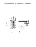 ERYTHROPOIETIN AND FIBRONECTIN COMPOSITIONS FOR THERAPEUTIC AND COSMETIC     APPLICATIONS diagram and image