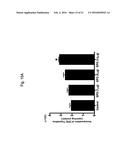 ERYTHROPOIETIN AND FIBRONECTIN COMPOSITIONS FOR THERAPEUTIC AND COSMETIC     APPLICATIONS diagram and image