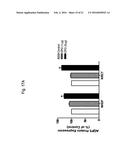 ERYTHROPOIETIN AND FIBRONECTIN COMPOSITIONS FOR THERAPEUTIC AND COSMETIC     APPLICATIONS diagram and image