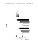 ERYTHROPOIETIN AND FIBRONECTIN COMPOSITIONS FOR THERAPEUTIC AND COSMETIC     APPLICATIONS diagram and image