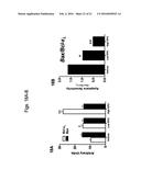 ERYTHROPOIETIN AND FIBRONECTIN COMPOSITIONS FOR THERAPEUTIC AND COSMETIC     APPLICATIONS diagram and image