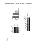 BACTERIAL TOXINS AND USES THEREOF AS RAS SPECIFIC PROTEASES diagram and image