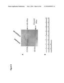 BACTERIAL TOXINS AND USES THEREOF AS RAS SPECIFIC PROTEASES diagram and image