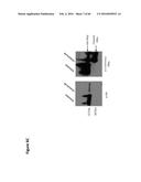 BACTERIAL TOXINS AND USES THEREOF AS RAS SPECIFIC PROTEASES diagram and image