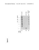 BACTERIAL TOXINS AND USES THEREOF AS RAS SPECIFIC PROTEASES diagram and image