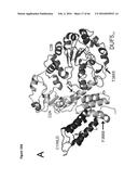 BACTERIAL TOXINS AND USES THEREOF AS RAS SPECIFIC PROTEASES diagram and image