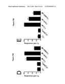 BACTERIAL TOXINS AND USES THEREOF AS RAS SPECIFIC PROTEASES diagram and image