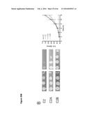 BACTERIAL TOXINS AND USES THEREOF AS RAS SPECIFIC PROTEASES diagram and image