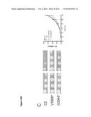 BACTERIAL TOXINS AND USES THEREOF AS RAS SPECIFIC PROTEASES diagram and image