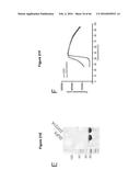 BACTERIAL TOXINS AND USES THEREOF AS RAS SPECIFIC PROTEASES diagram and image