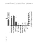 BACTERIAL TOXINS AND USES THEREOF AS RAS SPECIFIC PROTEASES diagram and image