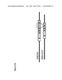 BACTERIAL TOXINS AND USES THEREOF AS RAS SPECIFIC PROTEASES diagram and image