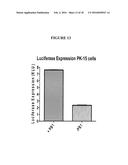 SWINE INFLUENZA VIRUSES AND CONSTRUCTS AND USES THEREOF diagram and image