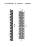 APPARATUS WITH UNENCAPSULATED REINFORCEMENT diagram and image