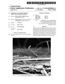 PERIPHERALLY ENRICHED FIBROUS MEDIA AND METHOD OF MAKING diagram and image