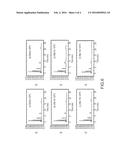 POROUS COMPOSITE PARTICULATE MATERIALS, METHODS OF MAKING AND USING SAME,     AND RELATED APPARATUSES diagram and image