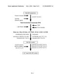 MESOPOROUS MFI-ZEOLITE CATALYSTS, METHODS OF PREPARING THE SAME AND USES diagram and image