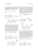 3, 10, AND 12a SUBSTITUTED TETRACYCLINE COMPOUNDS diagram and image