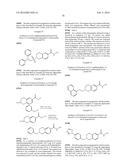 SUBSTITUTED HYDROXAMIC ACIDS AND USES THEREOF diagram and image