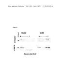 Substituted Heterocyclic Compounds for Treating or Preventing Viral     Infections diagram and image