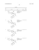 NOVEL INHIBITORS diagram and image