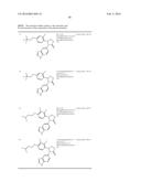 NOVEL INHIBITORS diagram and image