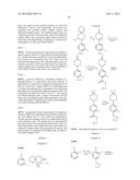 NOVEL INHIBITORS diagram and image