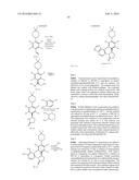 NOVEL INHIBITORS diagram and image