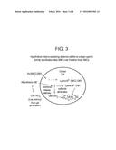 NOVEL MAYTANSINOID DERIVATIVES WITH SULFOXIDE LINKER diagram and image