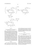 NOVEL MAYTANSINOID DERIVATIVES WITH SULFOXIDE LINKER diagram and image