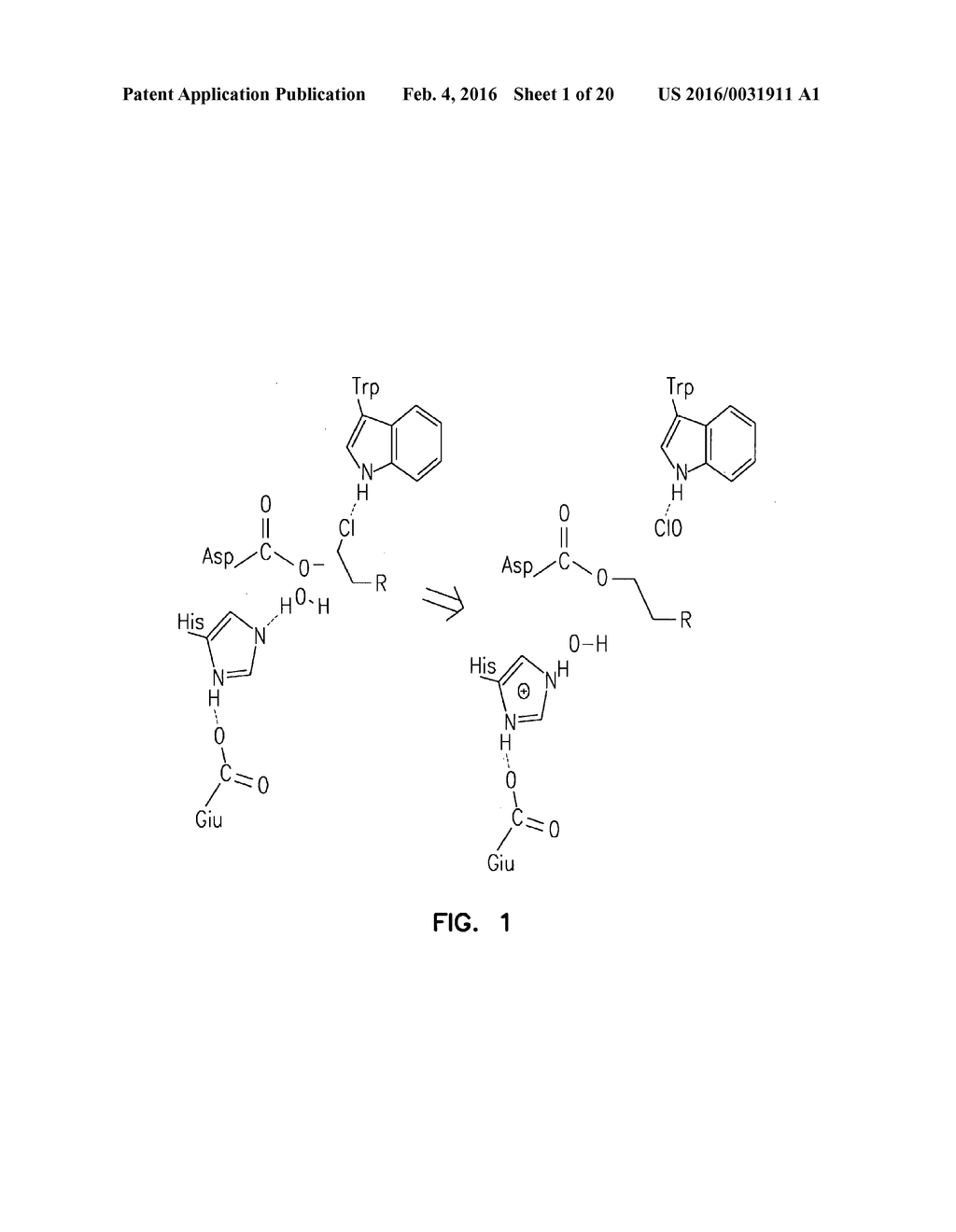 COVALENT TETHERING OF FUNCTIONAL GROUPS TO PROTEINS - diagram, schematic, and image 02