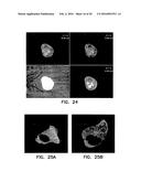 COVALENT TETHERING OF FUNCTIONAL GROUPS TO PROTEINS diagram and image